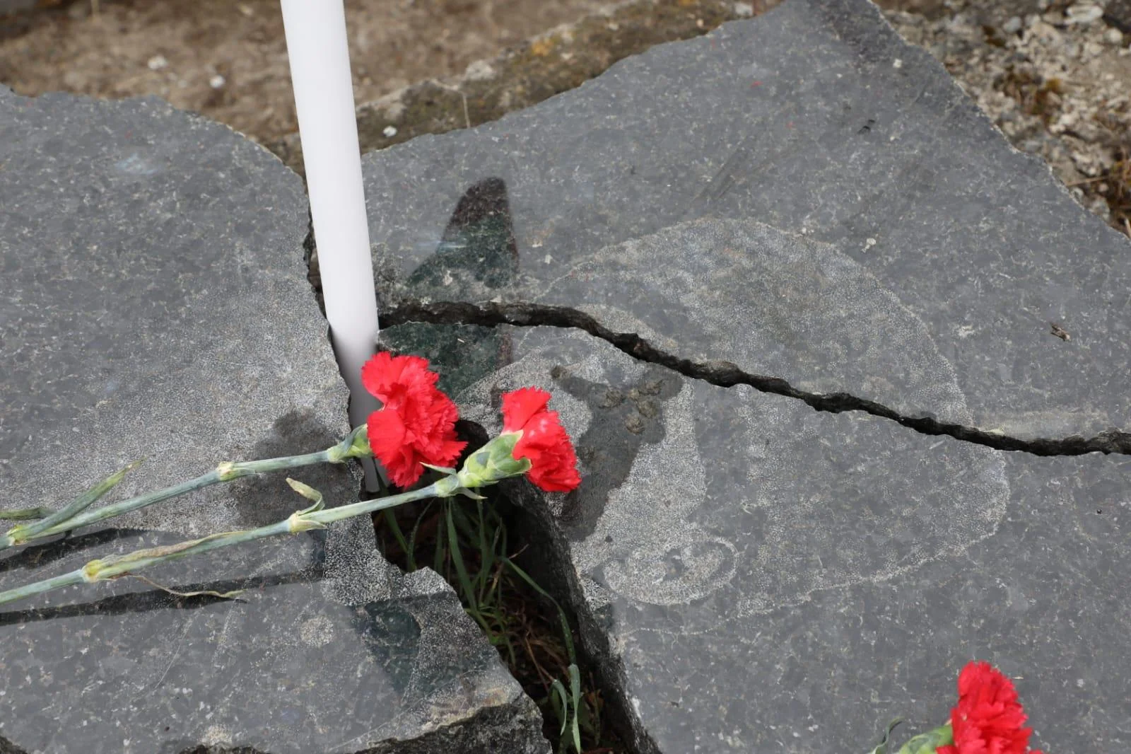 Ağdaban ictimaiyyəti və QHT təmsilçilərindən beynəlxalq ictimaiyyətə AÇIQ MƏKTUB