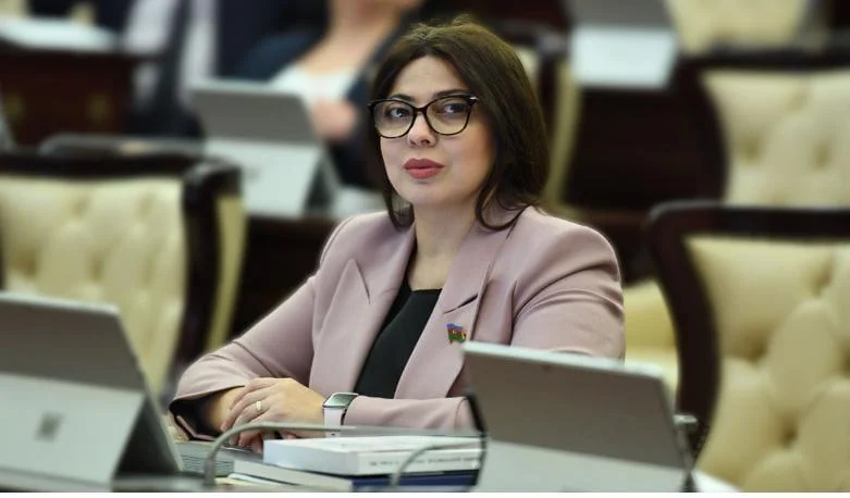 Parlamentari: Ştaynmayerin səfəri Almaniyanın Azərbaycanı vacib tərəfdaş kimi qəbul etdiyini göstərir