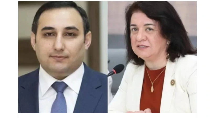 Emilya Səfərəliyeva işdən çıxarılıb