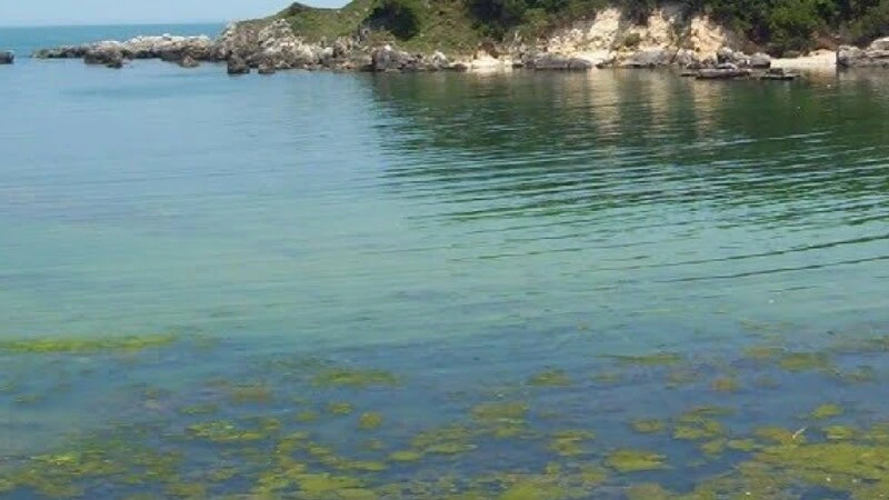 Qobustanda 9 yaşlı uşaq gölməçəyə düşərək ölüb