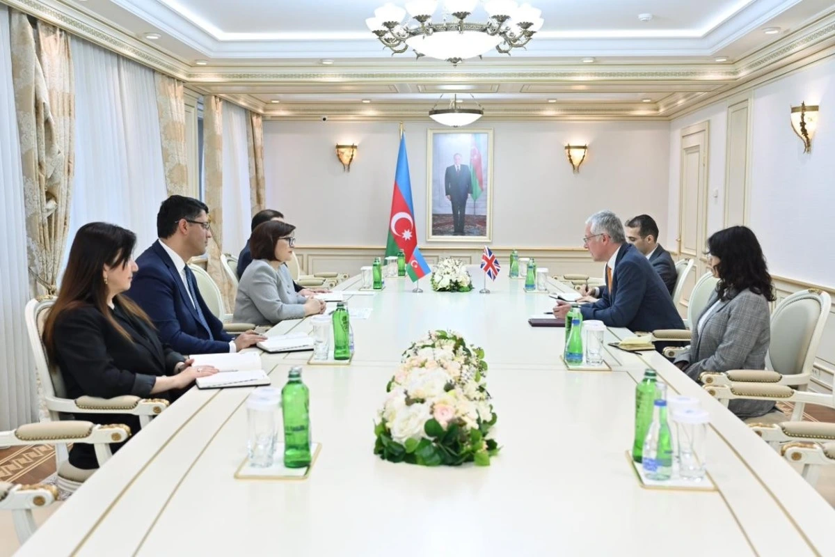 Milli Məclisin sədri Britaniya səfiri ilə görüşüb
