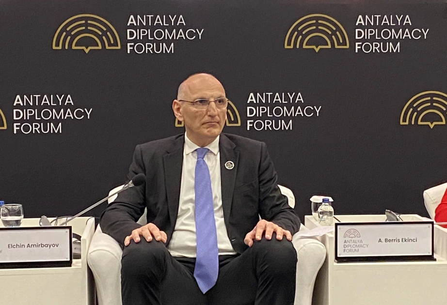 Elçin Əmirbəyov: Cənubi Qafqazda kommunikasiyaların bərpası sülh təşəbbüsüdür