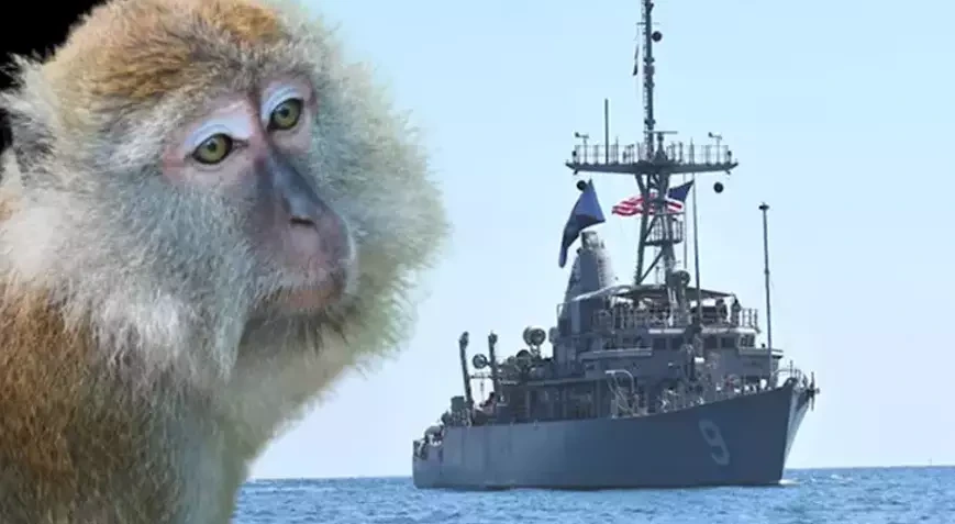 ABŞ əsgərinə meymun hücumu - Hörmüz əməliyyatında “gözlənilməz risk”