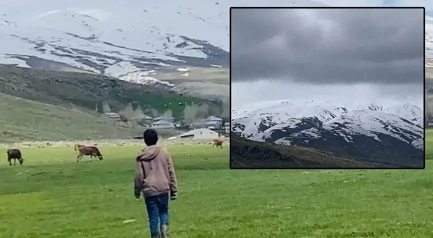Eyni rayonda iki fəsil: Aşağıda bahar, yuxarıda qışdır - FOTO