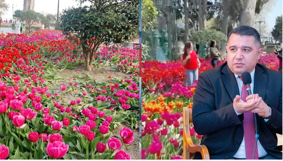 Bir hadisə ilə gəncləri ittiham etmək doğru deyil - Sosioloq Mail Yaqub