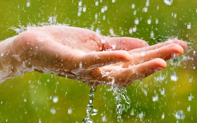 “Yağış suyu evdə və bağda çoxfunksiyalı istifadəyə uyğundur” - İqtisadçı izah edir