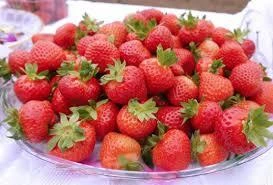 Çiyələklərin ömrünü uzatmağın sirri budur