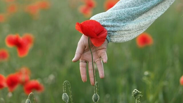 Həyata yenidən həvəs qazandırmağın 8 yolu