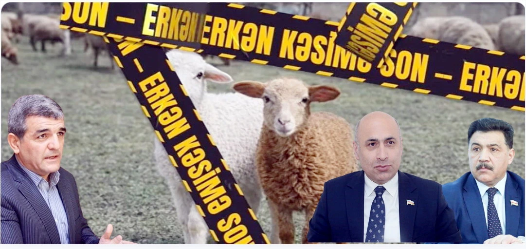 Quzunu bu yaşda kəsməyin, filan yaşda kəsin, deyə bilgi vermək yersizdir - İQTİSADÇI