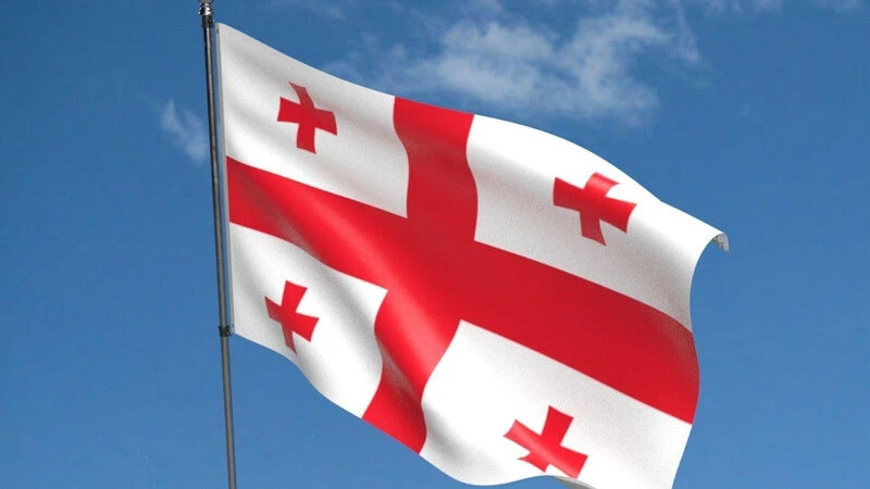 Onlarla miqrant Gürcüstandan deportasiya edildi