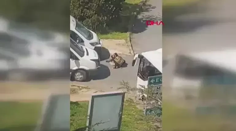 SON DƏQİQƏ: Terrorçuların kimliyi müəyyənləşdi