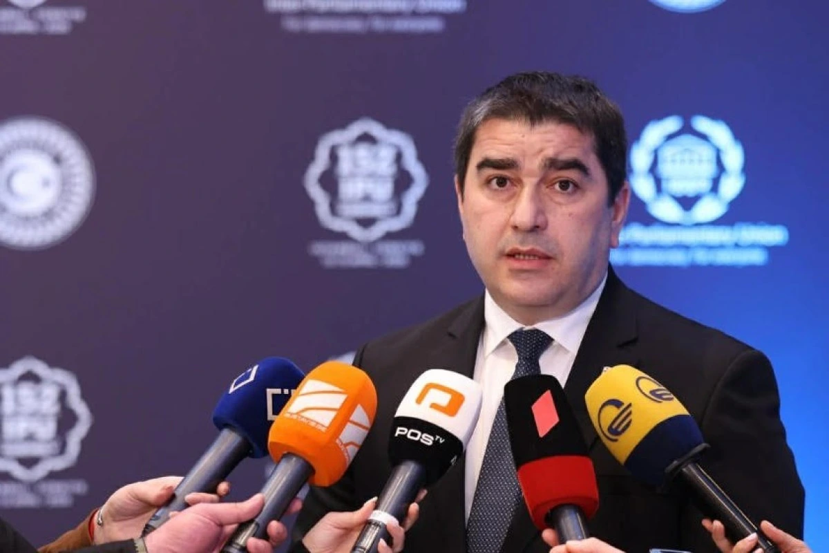 Papuaşvili Aİ-ni Gürcüstanda iğtişaşlar planlaşdırmaqda ittiham edib