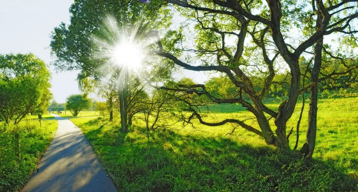 Aprel ayına olan hava proqnozu açıqlanıb