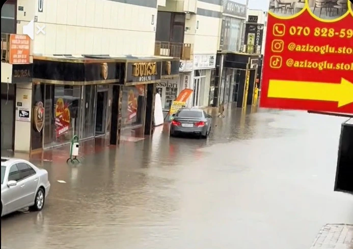 Təbii fəlakət və sığorta: Xırdalan sahibkarları haqqını alacaqmı?