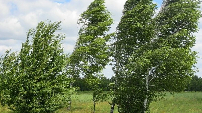 Küləkli hava şəraiti ilə bağlı sarı və narıncı - XƏBƏRDARLIQ
