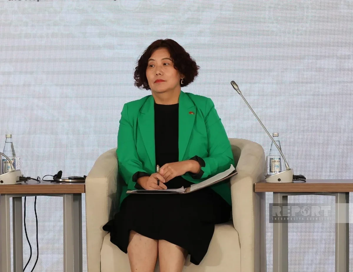 Lu Mey: Çin Azərbaycanla əməkdaşlığın genişləndirilməsi üçün böyük potensial görür