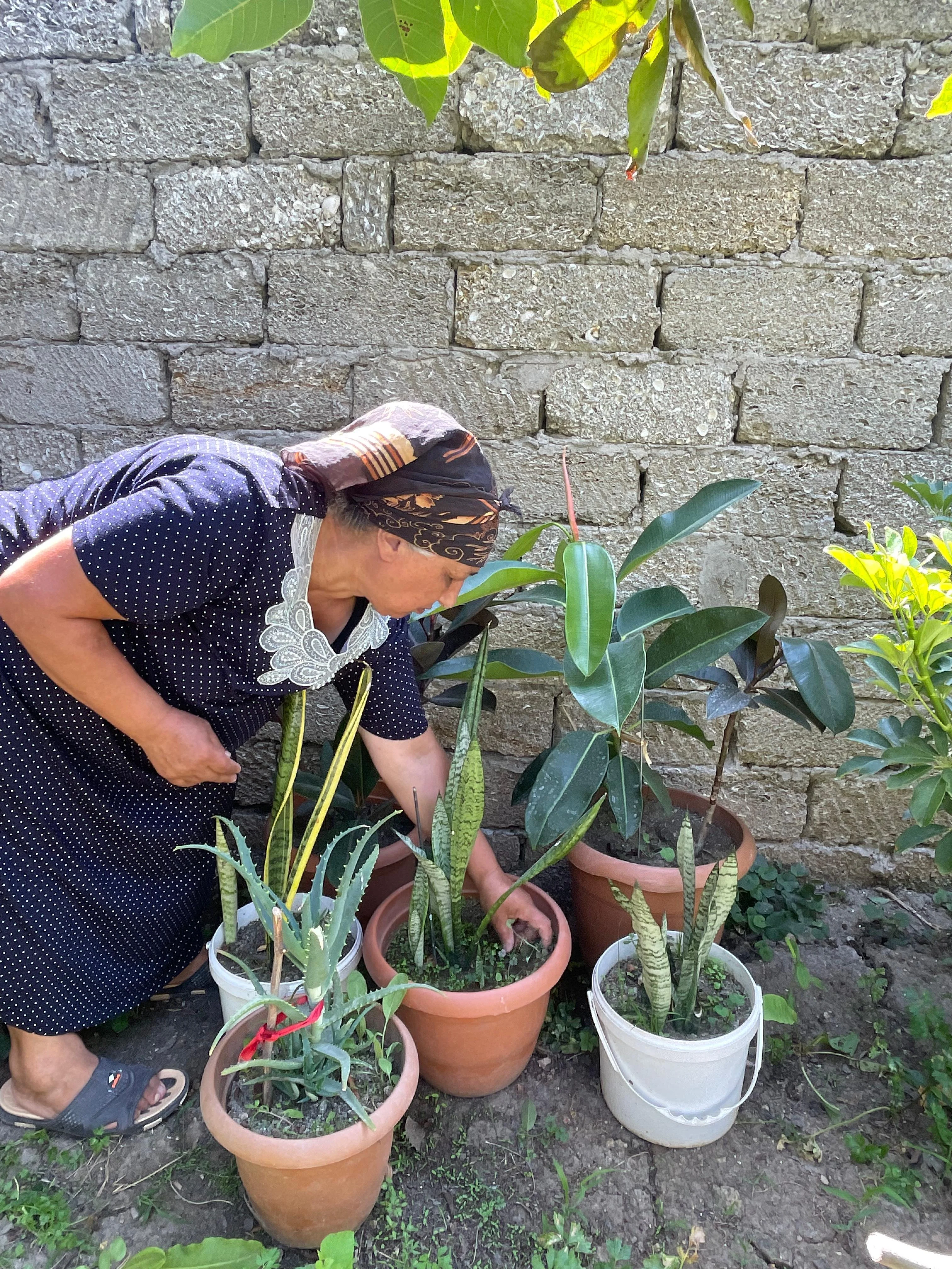 "Çiçək qadın": Nə qədər ki, ömrüm var, güllərin ömrünü uzadacam -REPORTAJ