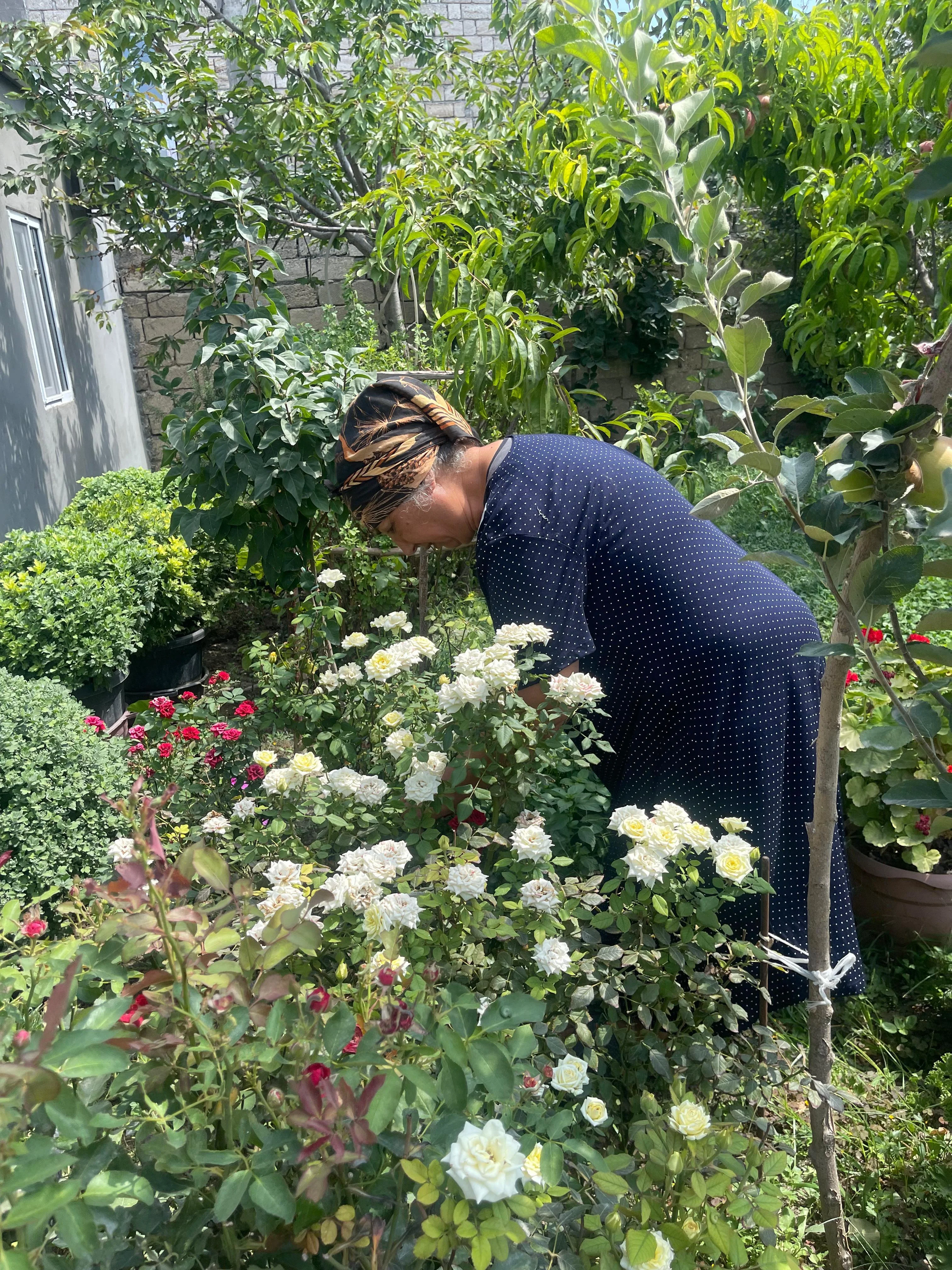 "Çiçək qadın": Nə qədər ki, ömrüm var, güllərin ömrünü uzadacam -REPORTAJ