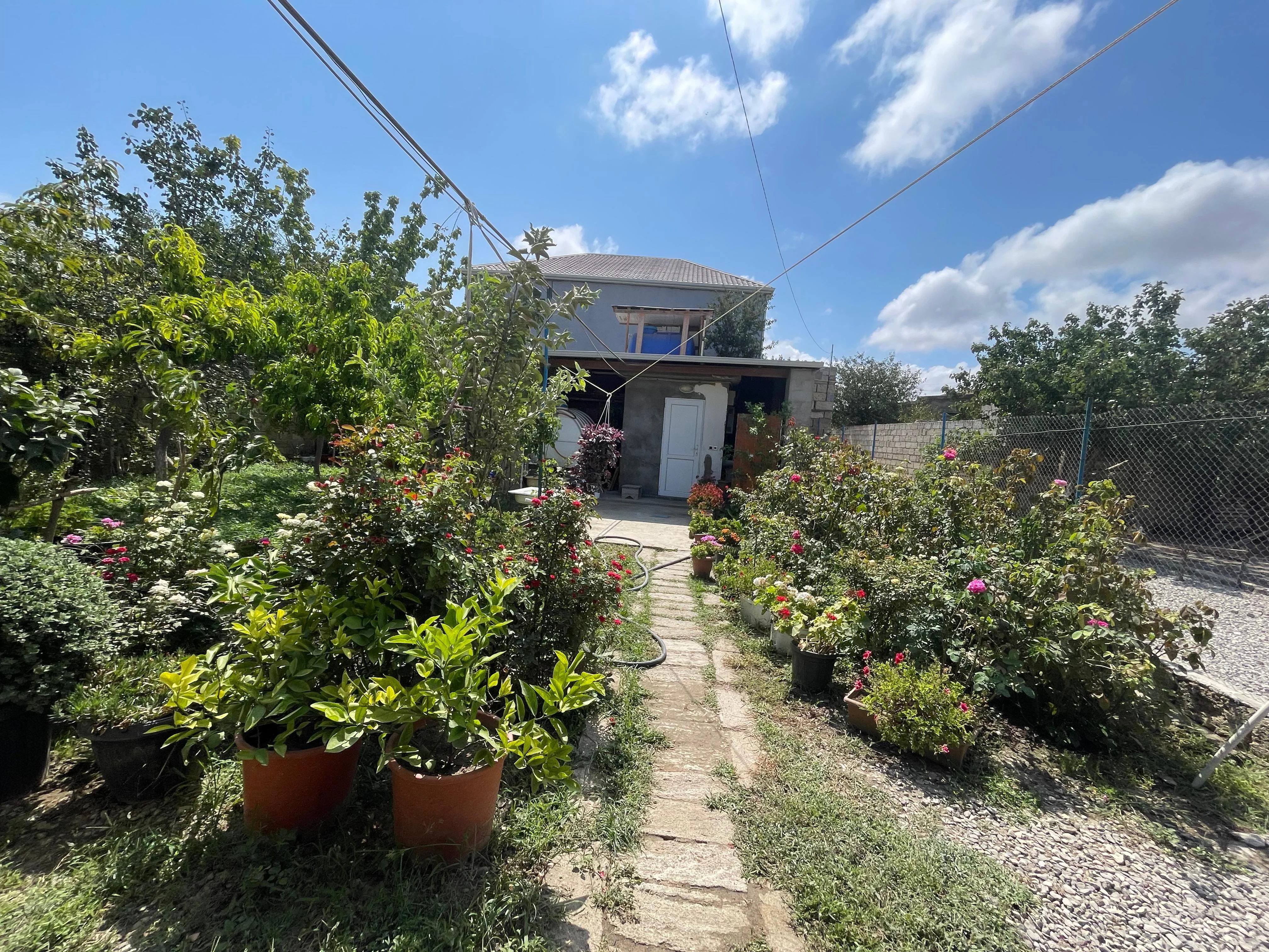 "Çiçək qadın": Nə qədər ki, ömrüm var, güllərin ömrünü uzadacam -REPORTAJ