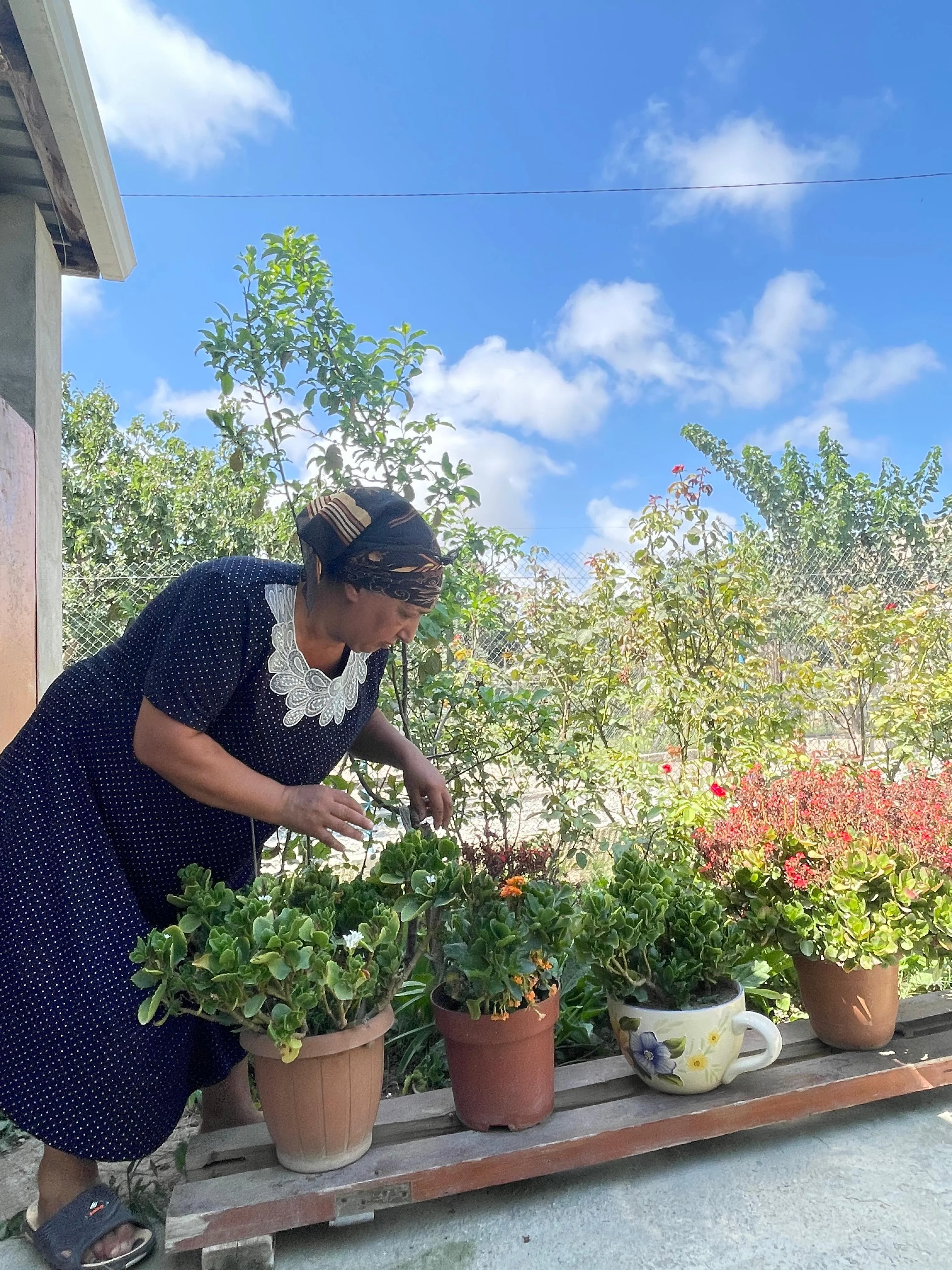"Çiçək qadın": Nə qədər ki, ömrüm var, güllərin ömrünü uzadacam -REPORTAJ
