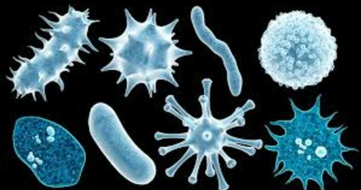 Almaniyada yeni virus yayıldı