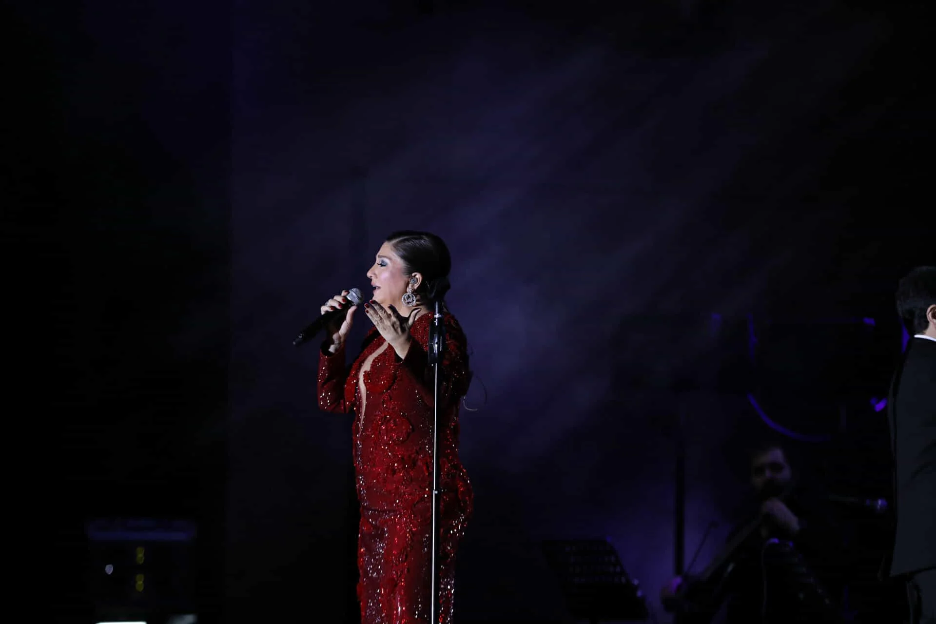 Bakıda Sibel Canın möhtəşəm konserti baş tutub - FOTOLAR