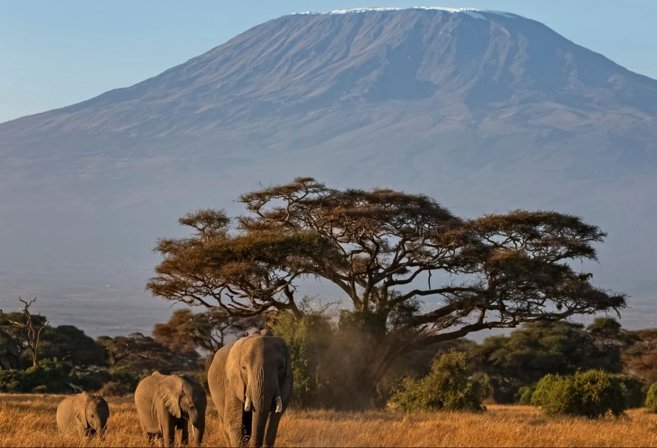 Kilimancaro dağında helikopter qəzaya uğrayıb, ölənlər var