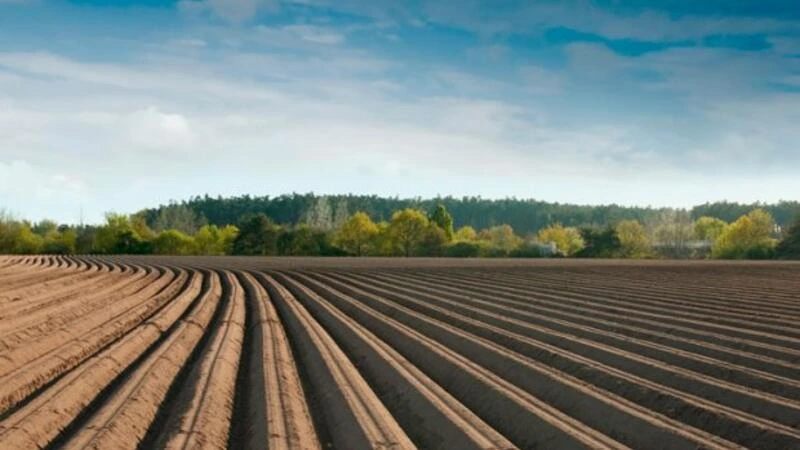 “Torpaq Məcəlləsinə” dəyişikliklər təklif edilir