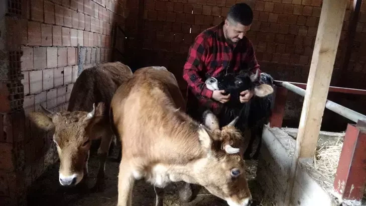 Almaniyadakı işini buraxıb, kəndinə döndü: "Robot olmaqdansa çoban olaram"