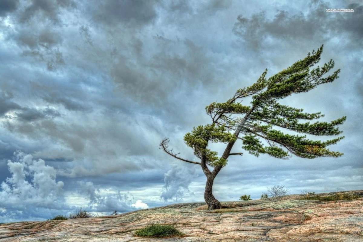 Küləklə bağlı sarı və narıncı xəbərdarlıq verilib