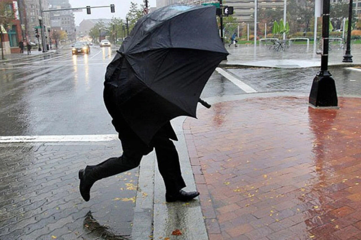 Küləkli hava şəraiti ilə bağlı sarı xəbərdarlıq verilib