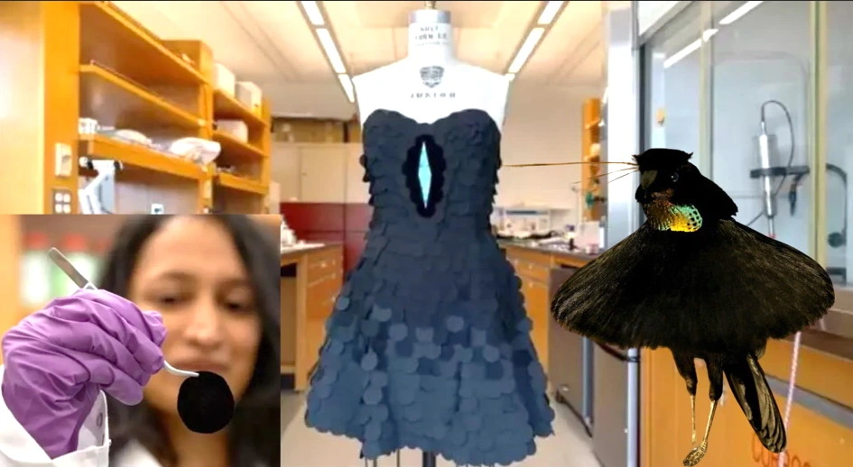 Dünyada bənzəri yoxdur, görən bir daha baxır