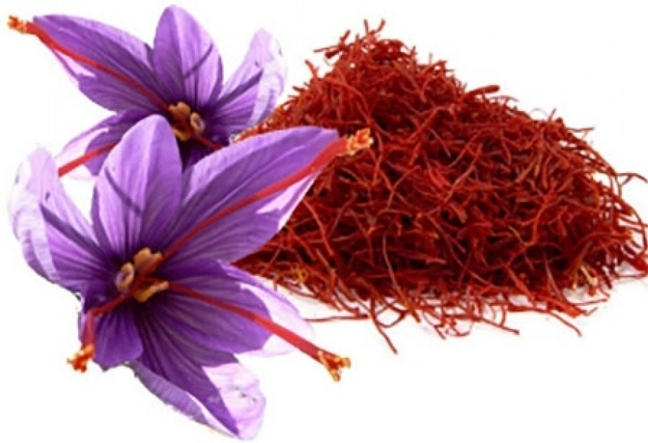 Təbii zəfəran rəngini yavaş-yavaş verir - YOXLAYIN!