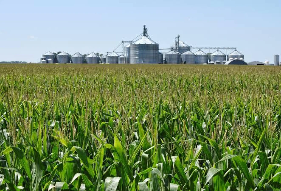 Tramp 12 milyard dollarlıq kənd təsərrüfatı yardımı paketini elan edib