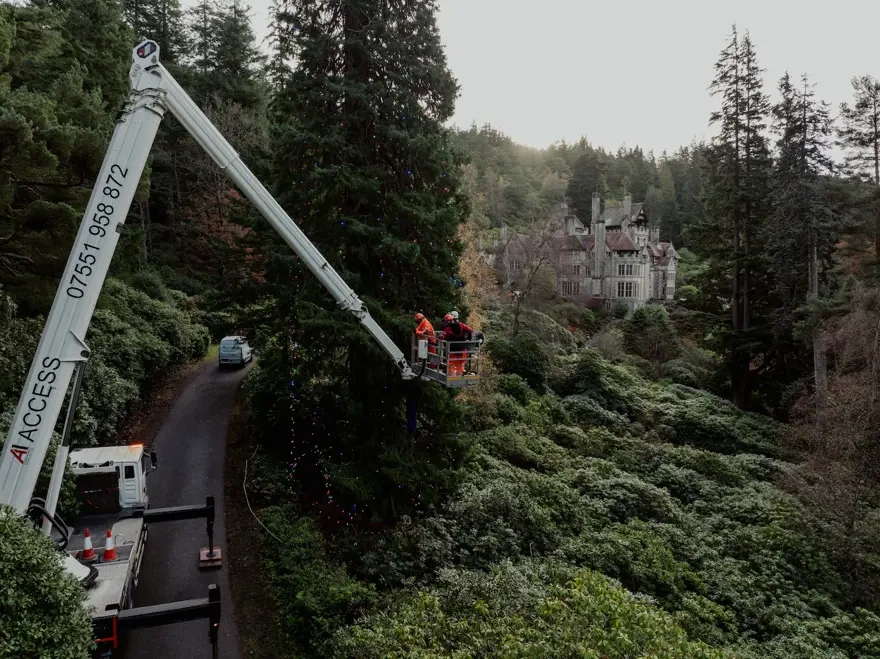 Dünyanın ən böyük Yeni il ağacı bəzədildi