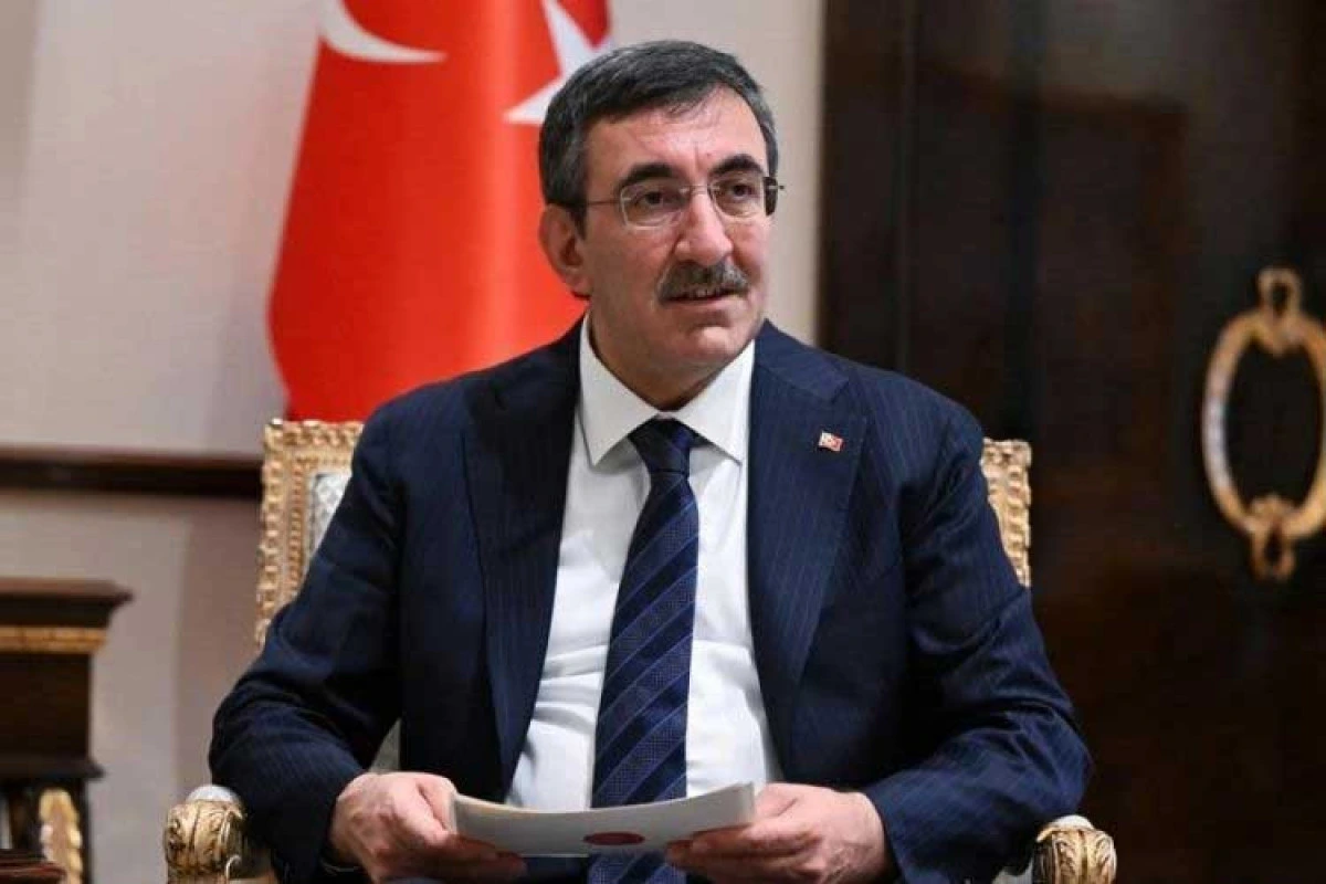 Vitse-prezident: Türkiyə Azərbaycan kimi uğurlu COP keçirmək istəyir