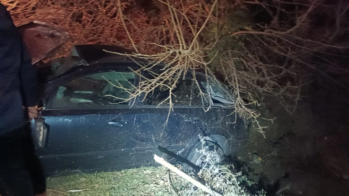 Tovuzda avtomobil ağaca çırpılıb, xəsarət alan var