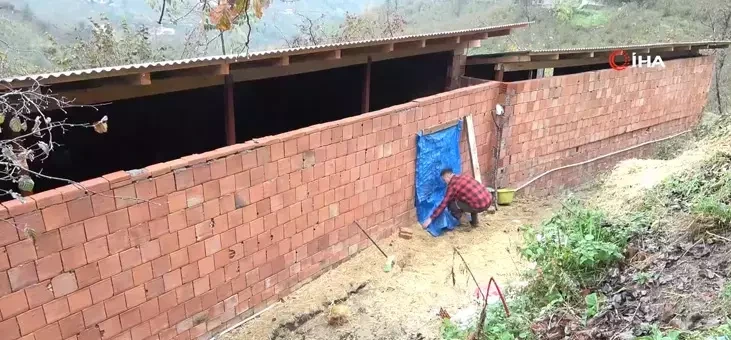 Almaniyadakı işini buraxıb, kəndinə döndü: "Robot olmaqdansa çoban olaram"