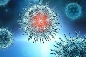 Hazırda dominant qrip Honkonq qripidir – ÜST