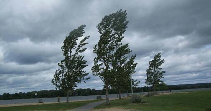 Küləkli hava şəraiti ilə bağlı xəbərdarlıq edilib