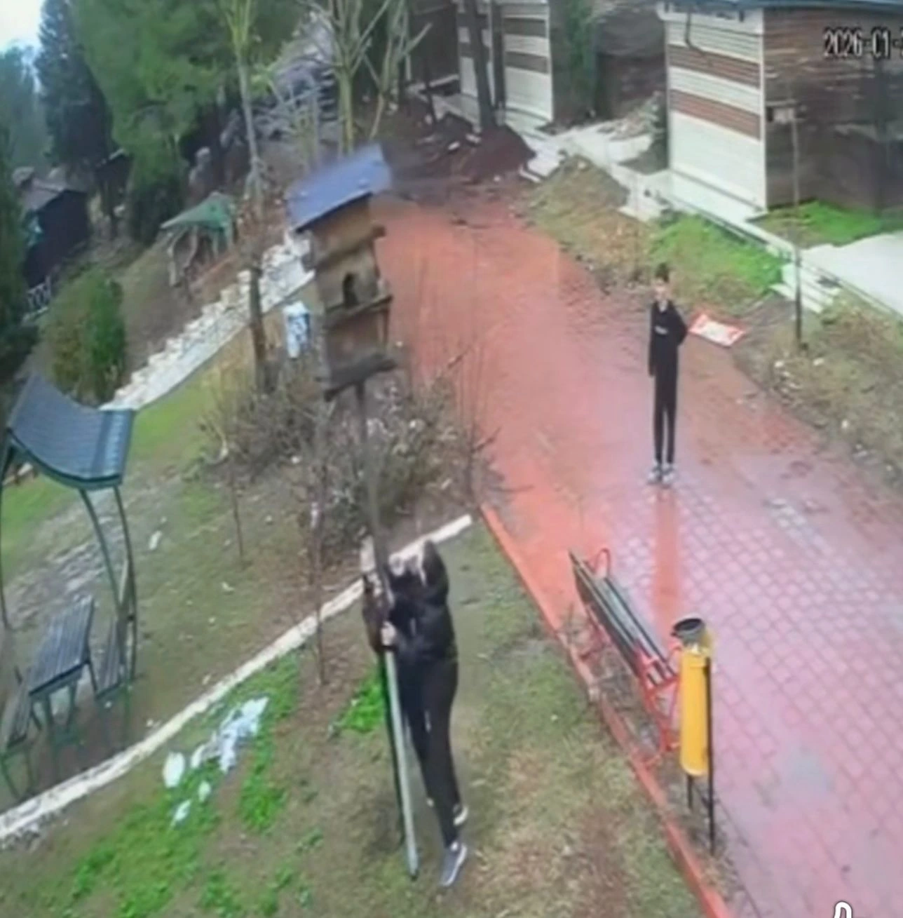 Bu yeniyetmələr valideynləri tərəfindən düzgün tərbiyə edilməyib -Sosioloq OD PÜSKÜRDÜ