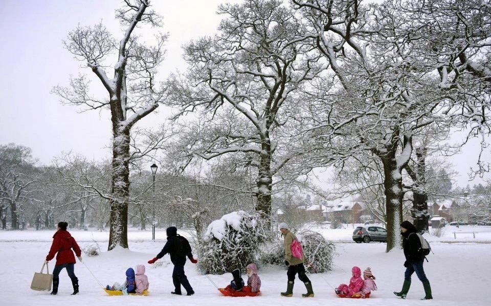 Nyu Yorkda fövqəladə vəziyyət elan edildi