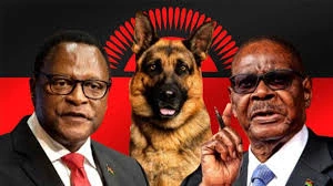 4 it üçün 80 polis: “Qara sehr” Malavini qarışdırdı