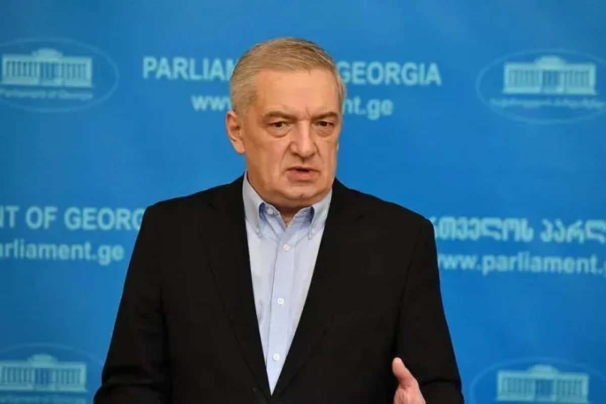 Vitse-spiker: Gürcüstan Azərbaycan-Ermənistan münasibətlərinin yaxşılaşmasından məmnundur