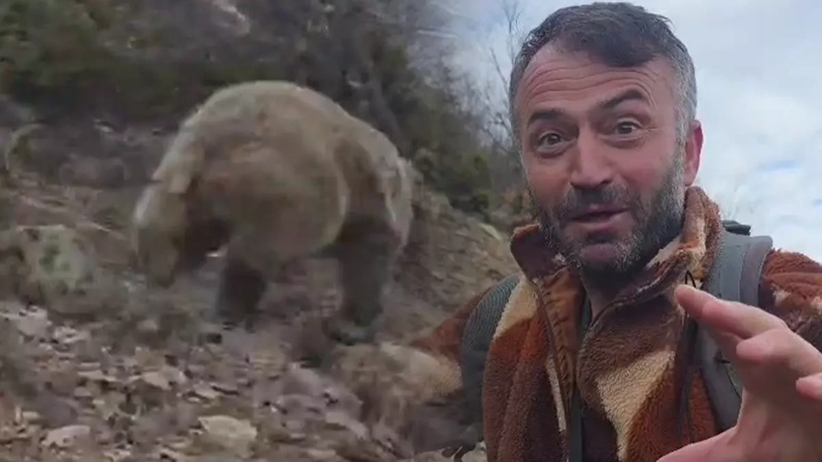 Qorxu dolu anlar: Ayı ilə üz-üzə gəldi