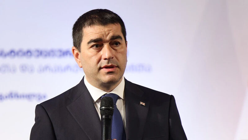 Şalva Papuaşvili: Gürcüstanda zorakılıq Avropanın adı ilə həyata keçirilir