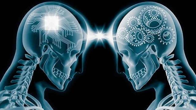 Alimlər hafizəni yaxşılaşdıran təbii vasitələr aşkarladı