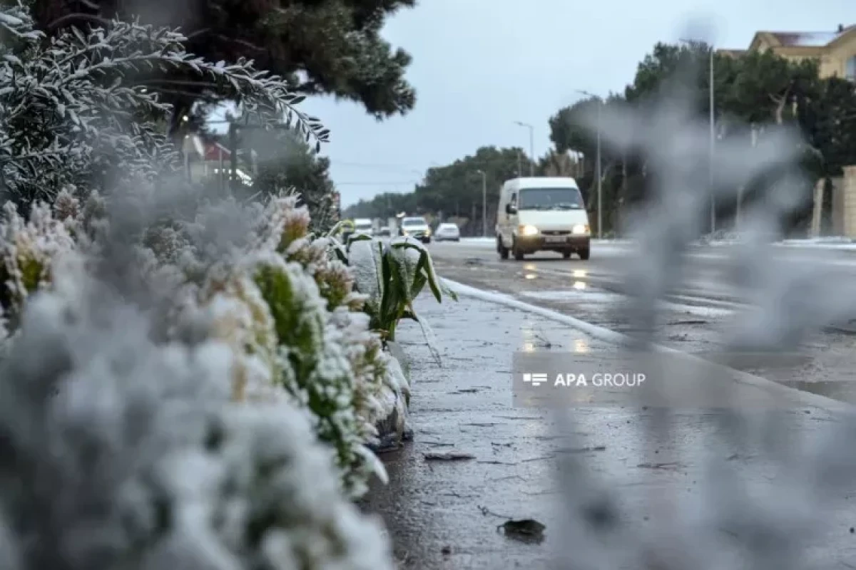 Sabah Bakıya sulu qar yağacaq
