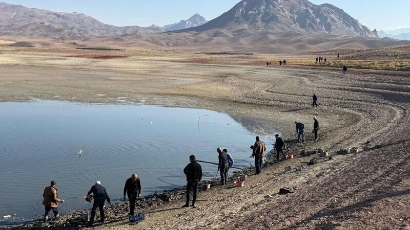 “Yağıntıların artımı Naxçıvanda su ehtiyatlarını yaxşılaşdıracaq” - Ənvər Əliyev