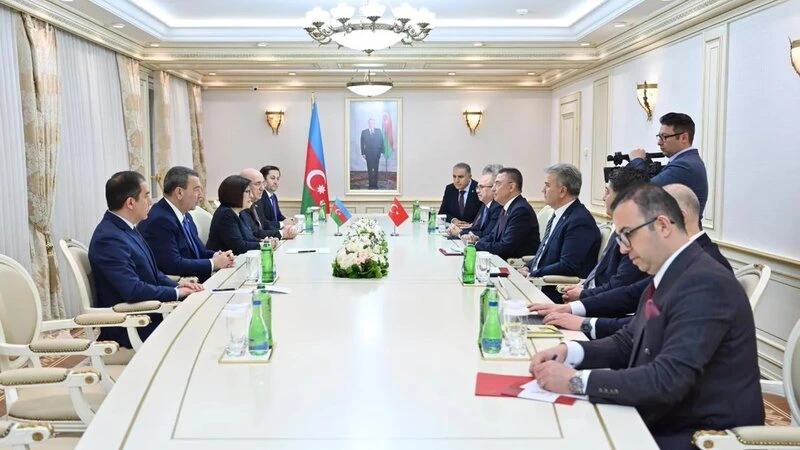 Sahibə Qafarova TBMM-nin Xarici əlaqələr komitəsinin sədri ilə görüşüb